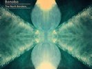 Bonobo - North Borders