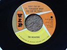 THE MONITORS - DON'T PUT OFF 'TIL TOMORROW / SINCE I LOST YOU GIRL