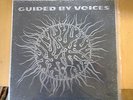 RARE GERMAN GUIDED BY VOICES PRESSING DEVIL BETWEEN MY TOES MINT ONLY 1000 MADE