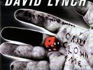 Crazy Clown Time - 2 DISC SET - David Lynch (2011, Vinyl New)