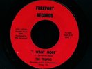 TROPICS - I Want More. 1966 garage 45. FREEPORT. LISTEN