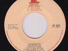 Funk 45 - Foster Sylvers - Misdemeanor - Pride - VG++ mp3 - first label