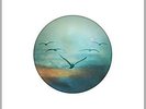 JASON MRAZ - YES (W/CD) NEW VINYL