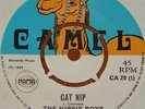 THE HIPPIE HIPPY BOYS   CAT NIP b/w COOYAH   UK CAMEL 7