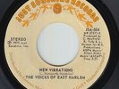 Funk Soul 45 - Voices Of East Harlem - New Vibrations - Just Sunshine - VG++ mp3