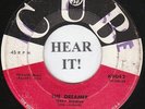 Terry Redman ROCKABILLY TEEN 45 (Cub 9042) The Dreamer/All My Dreams Come True