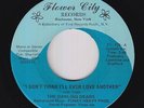 Sweet Soul Funk 45 - Darling Dears - I Don't Think I'll - Flower City - VG++ mp3