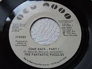 THE FANTASTIC PUZZLES   