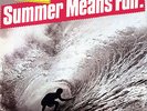 Various - Summer Means Fun - Californian Surf Music 1962-1974 (LP) - Vinyl Su...