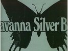 SAVANNA SILVER BAND PURE SILVER RARE ALTERNATIVE COVER OZ UNIQUE FUNK LP