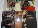 9 LP, 3 Doppelalben dabei, Blues, Muddy Waters, Vince Weber,Roosevelt Holts u.a.