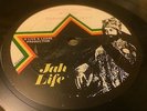 Barrington Levy Teach Me Culture Rare Killer Roots 10