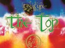 SEALED  Original  CURE The Top Lp Canadian Gothic New Wave Robert Smith