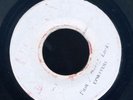 UPS1 LEE PERRY & UPSETTERS-I AM A DREAD LOCKS-UPSETTER-REGGAE 45 7