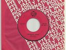 The Kinks Rare 66 Lebanese 45 RPM Waterloo Sunset NM UK Garage Ray & Dave Davies
