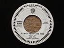 BARBARA McNAIR - IT WAS NEVER LIKE THIS
