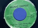 1349 WELL PLEASE & SATISFIED-OPEN THE GATES BOBBY BOY-MUSIC DEPOT-REGGAE 45 7