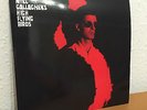 Noel Gallagher's High Flying Birds - Dying Of the Light 10'' Vinyl - HMV - Oasis