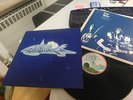 SHARKS FIRST WATER RARE ORIGINAL ISLAND LP 1973 MINT