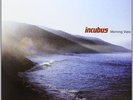 INCUBUS**MORNING VIEW (GATEFOLD/180 GRAM0**2 VINYL SET