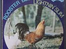 Lightnin' Slim Rooster Blues Excello 8000 1970's Blue Label Issue Swamp Blues