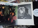 Stray cats 12