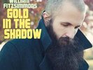 William Fitzsimmons - Gold In The Shadow Vinyl Record LP