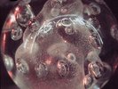 Darkside (Nicolas Jaar & Dave Harrington) - Psychic Vinyl US 2LP