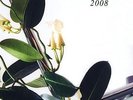 Various ?– Pop Ambient 2008 LP [Vinyl Kompakt ?– KOM 165 2007]