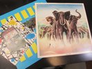 ELVIS COSTELLO armed forces UK ORIGINAL LP + 45 7” + INNER + OUTER NM- (RAD14)