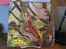 SOUNDS OF A THOUSAND STRINGS, MUSIC FOR BIG DAME HUNTERS CHEESE CAKE COVER