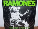 RAMONES - LP - TEENAGE LOBOTOMY - DEMOS + RARITIES - VINYL