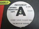 The Rockin' Berries - I Didn't Mean to Hurt You, Advance PROMO UK Piccadilly
