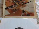 Steve Lacy SORTIE International LP Rava
