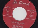 THE NEW BREED TIM & BILL Litte Bit A Soul 45 on In Crowd TX northern soul HEAR
