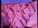 Autechre Amber 2xLP Warp Records 1994 VERY RARE SUPER CONDITION