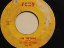 LEE SHOT WILLIAMS-HELLO BABY /IM TRYING-R&B NEW BREED 45 on Foxy