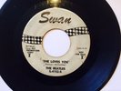 THE BEATLES-SHE LOVES YOU 45 PROMO RARE SWAN 1963 GREAT FIND