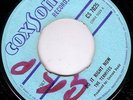 THE TERMITES/SKINHEAD REGGAE/COXSONE CS7025/DO IT RIGHT NOW - STAY..RARE..LISTEN