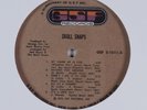 SKULL SNAPS Self Titled GSF LP VG++/VG+