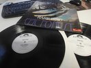 Rare Bird Epic Forest LP IN 1972 PROMO ORIGINAL POLYDOR PROG. PSYCH.