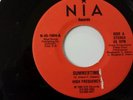 SUMMERTIME- HIGH FREQUENCY 70'S DANCER RARE (NIA-1004)