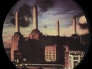 Pink Floyd   ?– Animals  picture disc