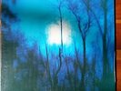 FLYING SAUCER ATTACK Further original 1995 LP SEALED Drag City folk psych