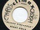 listen Tittyshaker Surf NIGHT OWLS sliced pinneaple / stompin' PROMO mad mike