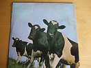 PINK FLOYD ATOM HEART MOTHER RARE QUADRAPHONIC 1972 LP..EX AUDIO..