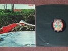 SPRING *NEON* (RCA) Original UK 1971 'Stereo' LP (NE 6) **RARE**
