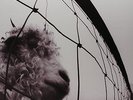 Pearl Jam vs. lp new music on vinyl 180 gram