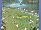 The FLAMINGOS LP S/T CHECKER 1433 ORIGINAL VG 1959 Doo Wop R&B BLACK label