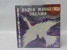 NEW VTG Vinyl LP 1973 BRIMSTONE Paper Winged Dreams PP 1022 Rock Brimstone Rec.